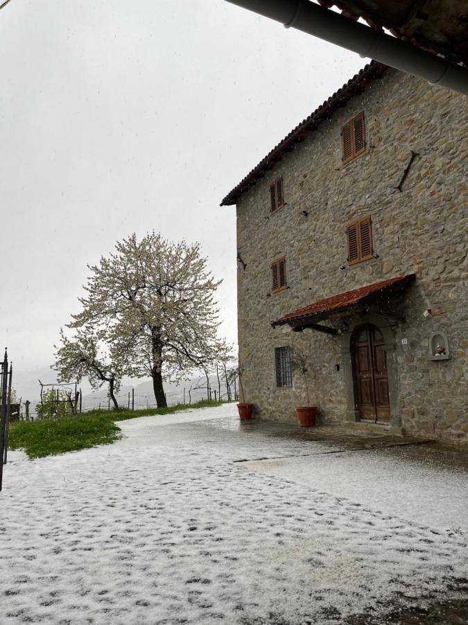 Apartmán Il Casale Di Rolando Castiglione di Garfagnana Exteriér fotografie